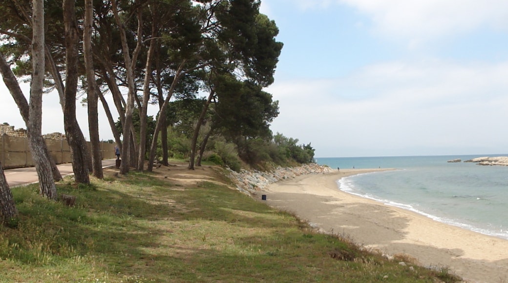 Photo "Platja de les Muscleres" by Isidro Jabato (page does not exist) (CC BY-SA) / Cropped from original