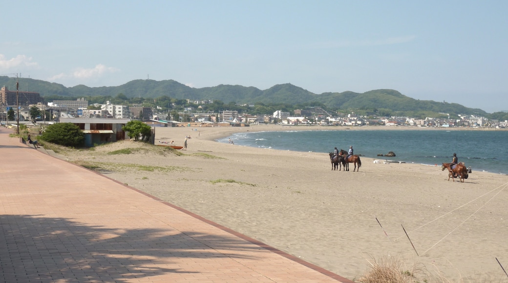 Photo "Miura Kaingan Beach" by Quercus acuta (page does not exist) (CC BY-SA) / Cropped from original