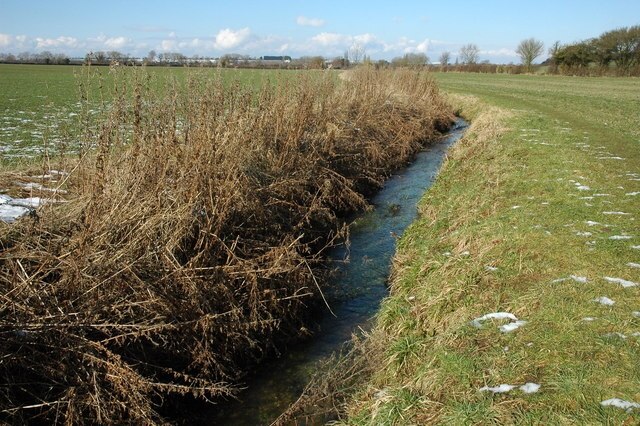 Foto “Wickhamford” tomada por Philip Halling (CC BY-SA); recorte de la original