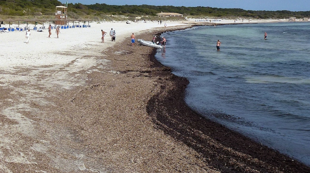 Foto "Playa de Ses Covetes" de Николай Максимович (CC BY) / Recortada de la original