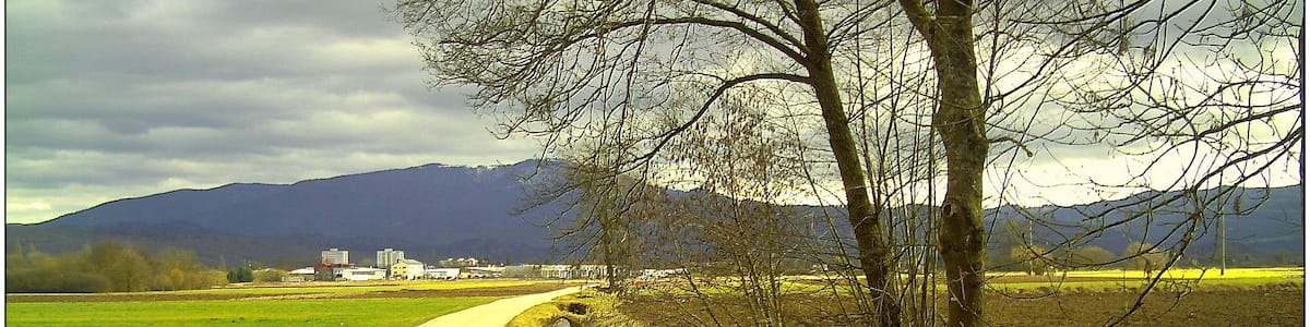 Photo "February Frühling Südwest Pastell Color - Master Landscape Rhine Valley 2014 Grand Cigogne blanc arrivee Ankunft des Großen Weißstorch" by pictures Jettcom (Creative Commons Attribution 3.0) / Cropped from original
