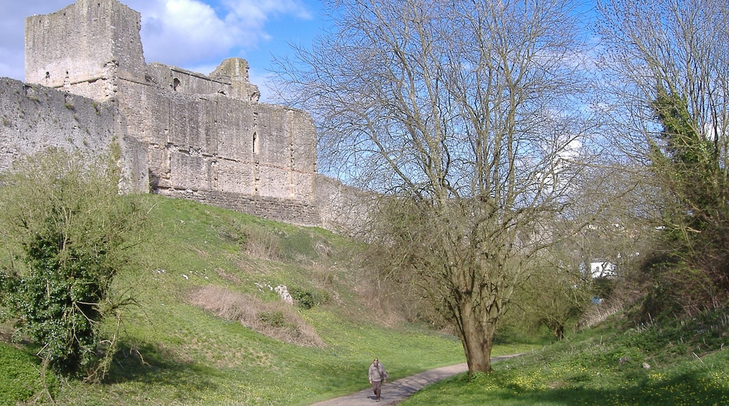 « Château de Chepstow», photo de Mattbuck (CC BY-SA) / rognée de l’originale