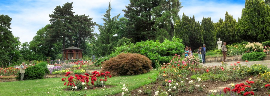 Europa Rosarium