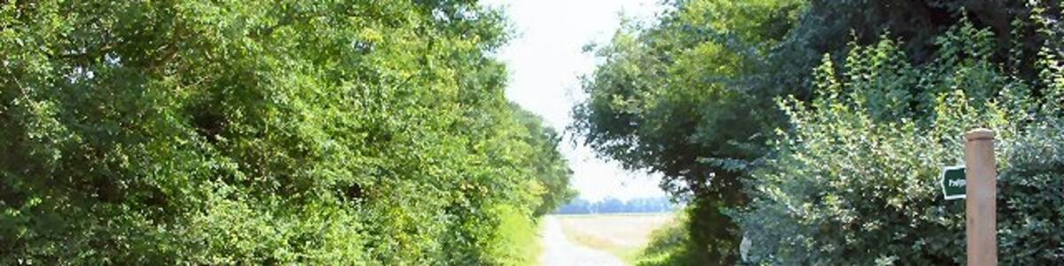 Photo "Four Acre Belt. This footpath leads from the road between Kentford to Cavenham, alongside Four Acre Belt, towards Barrow." by Bob Jones (Creative Commons Attribution-Share Alike 2.0) / Cropped from original