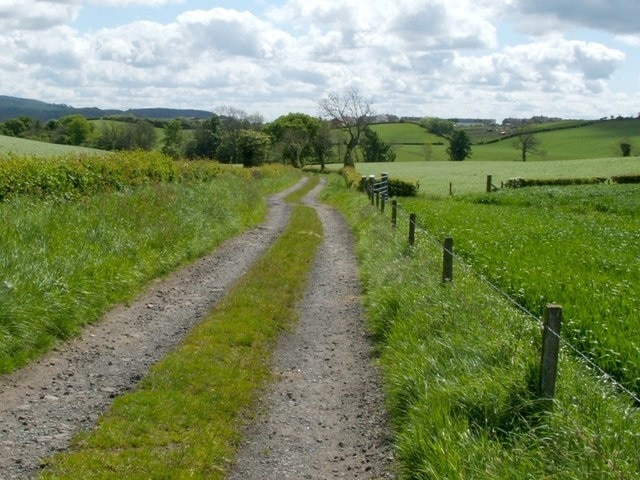 Farm track - looking south-east. The farm track and the fields adjacent to the track are associated with Whiteleys, which is shown on the map (in the adjacent square to the east). The houses visible in the background, right of centre, are in the topmost part of Castlehill; distant Knowetop Farm (84917) is visible just in front of them.