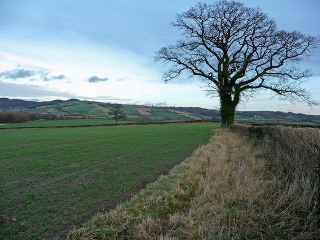 View east from Jay Lane The Leintwardine Hills rise up on the other side of the Clun valley in this North Herefordshire-South Shropshire borderland.