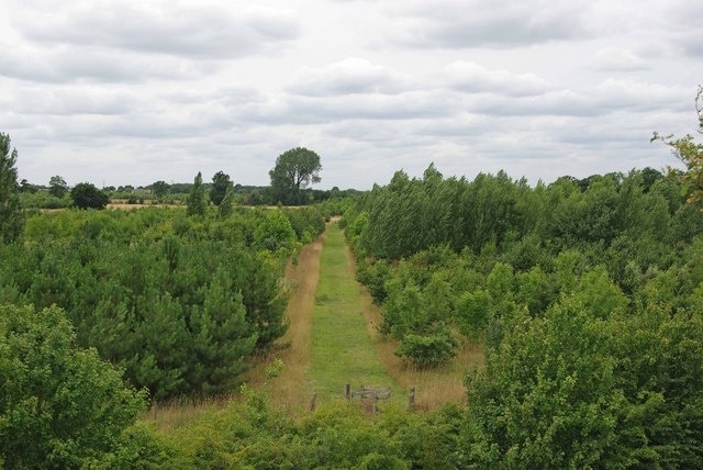 Kuva ”Belhus Wood Country Park” käyttäjältä Glyn Baker (CC BY-SA) / rajattu alkuperäisestä kuvasta