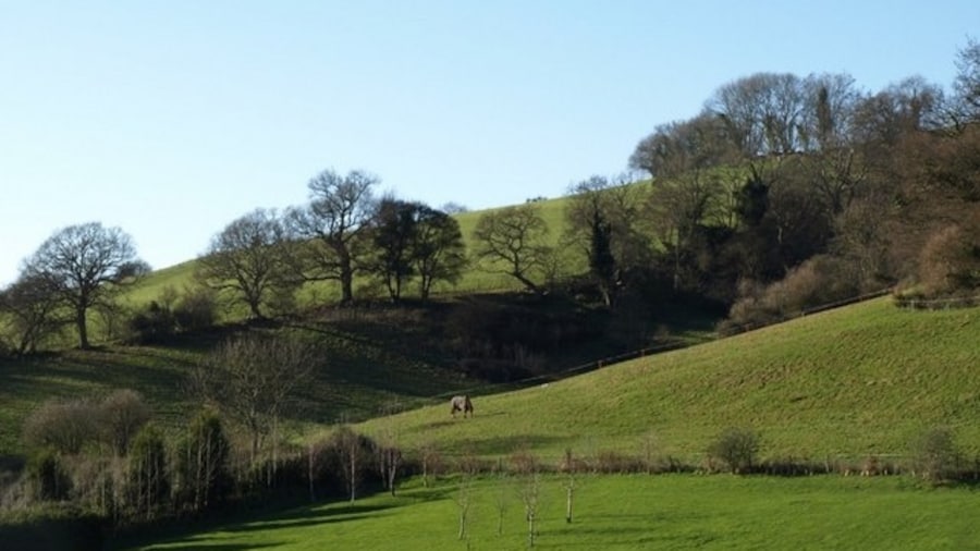 Photo "West of Bishopsteignton A horse grazes in a field on the valley slopes north of the Teign estuary. From Bishopsteignton Footpath 7 as it leaves Forder Lane." by Derek Harper (Creative Commons Attribution-Share Alike 2.0) / Cropped from original