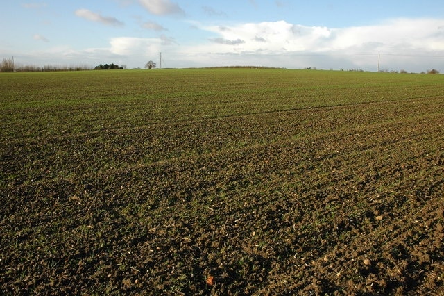 Foto “Pinvin” tomada por Philip Halling (CC BY-SA); recorte de la original