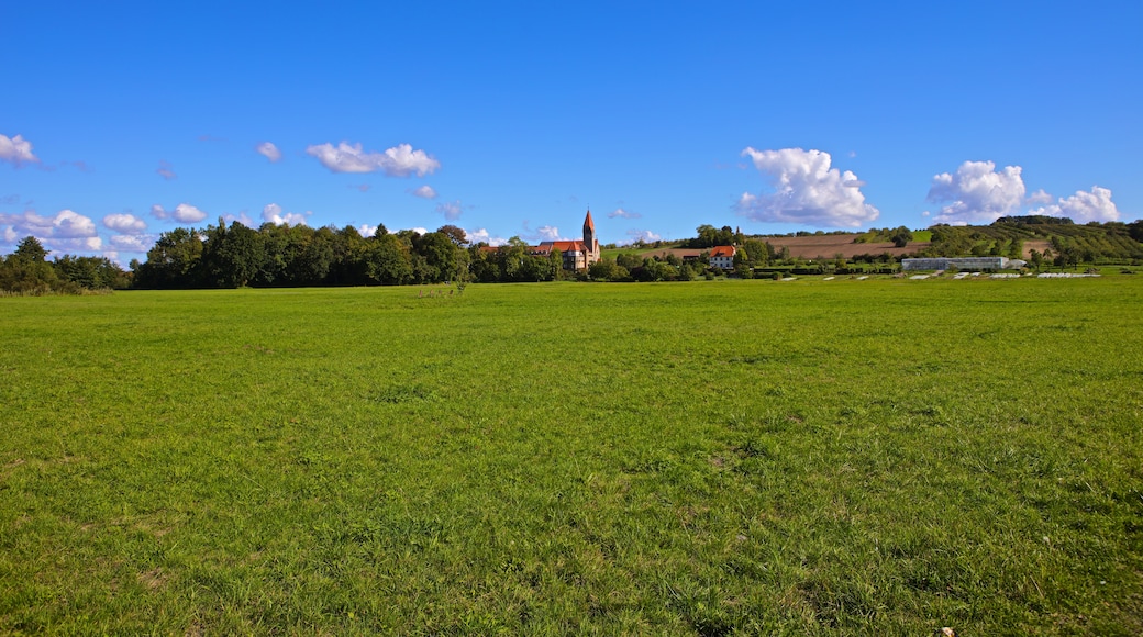 Photo "Wipfeld" by josef knecht (CC BY) / Cropped from original