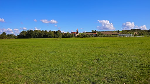 Photo "Wipfeld" by josef knecht (CC BY) / Cropped from original