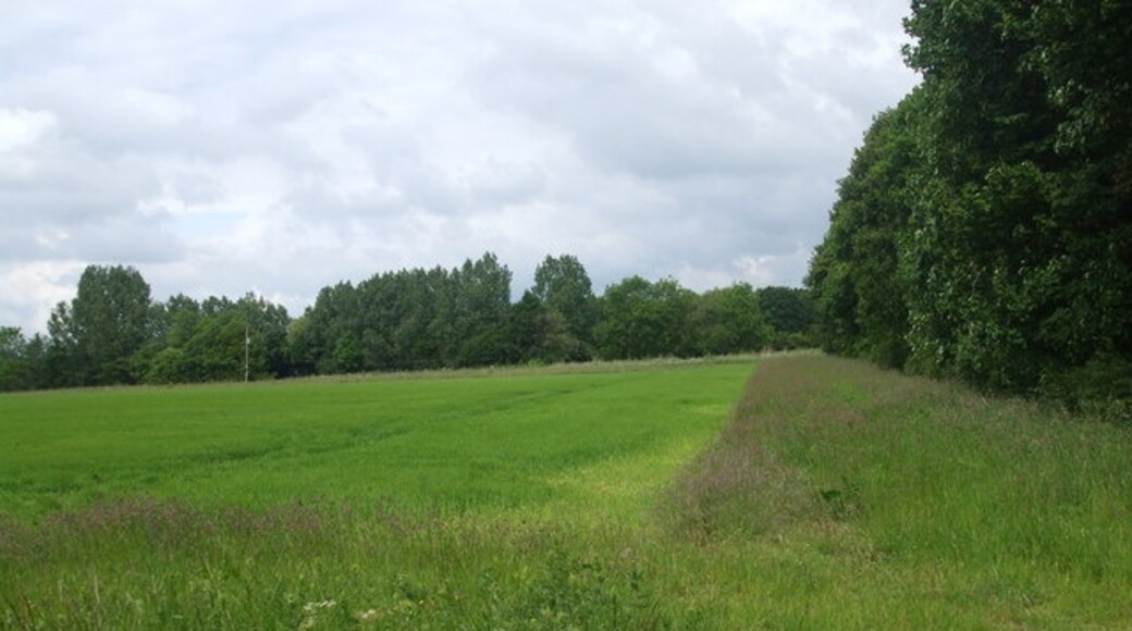 Foto “Camblesforth” tomada por Glyn Drury (CC BY-SA); recorte de la original