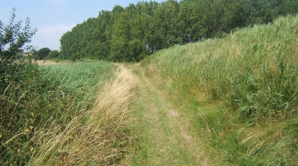 Kuva ”Hemley” käyttäjältä Andrew Hill (CC BY-SA) / rajattu alkuperäisestä kuvasta