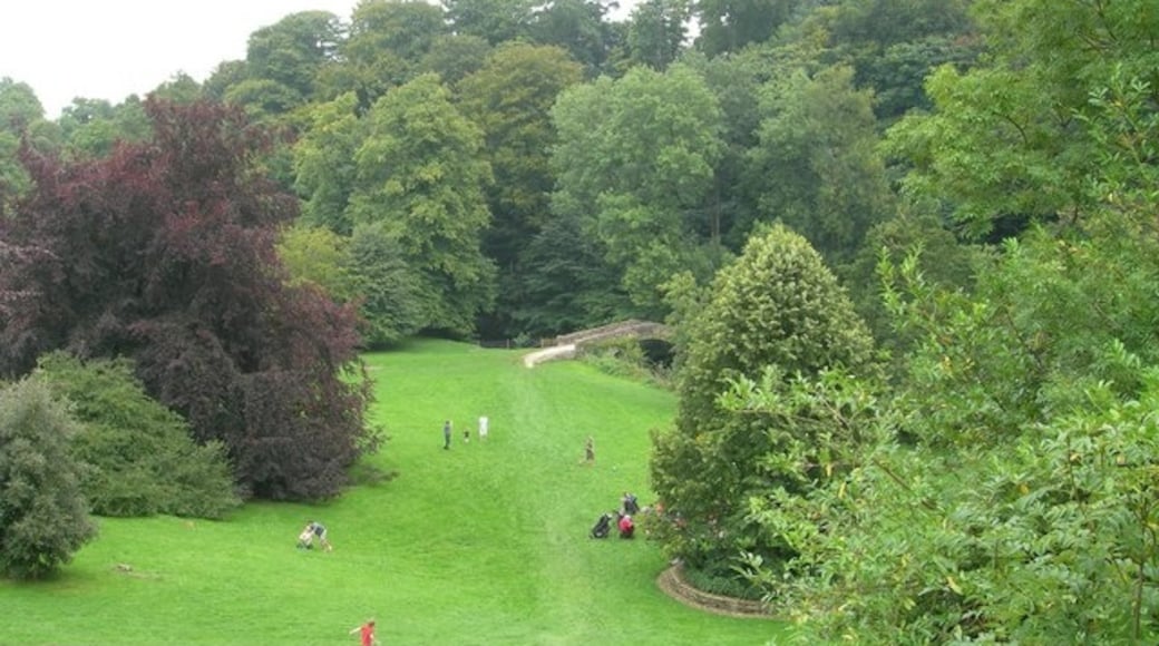 Photo "Ilam Park" by DAVID M GOODWIN (CC BY-SA) / Cropped from original