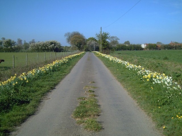 Kuva ”Bratoft” käyttäjältä John Smith (CC BY-SA) / rajattu alkuperäisestä kuvasta