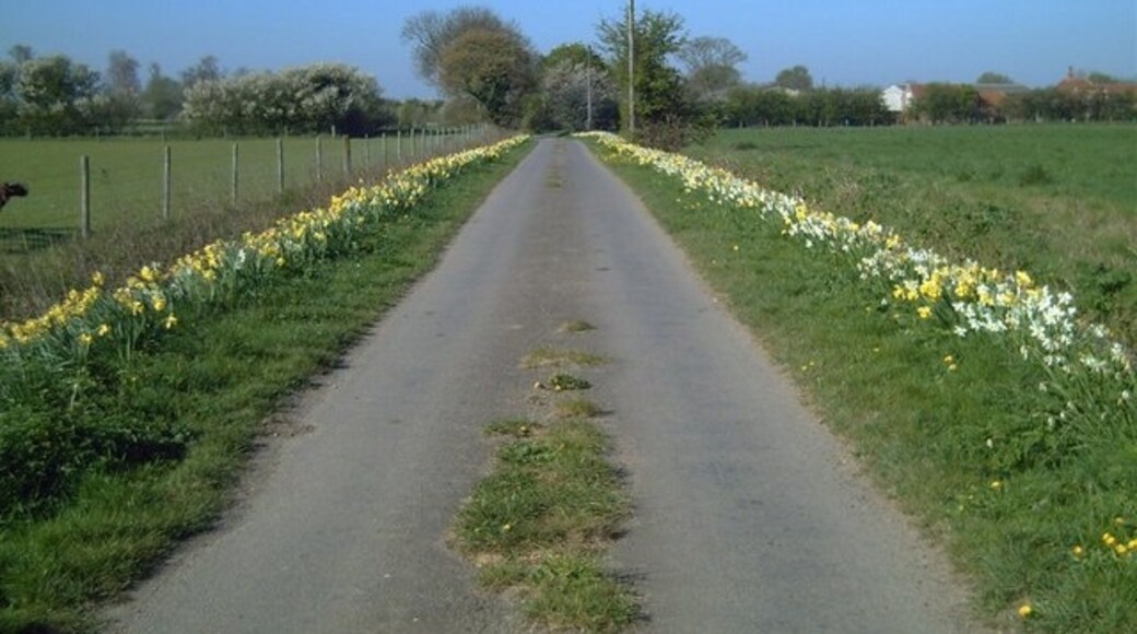 Kuva ”Bratoft” käyttäjältä John Smith (CC BY-SA) / rajattu alkuperäisestä kuvasta