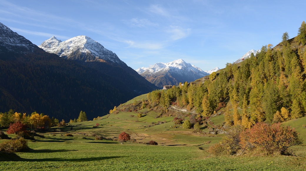 Ardez, Scuol, Graubünden, Schweiz