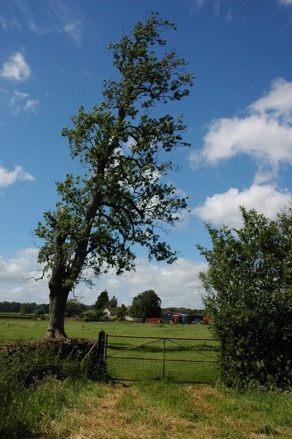 Photo "Tetbury Upton" by Philip Halling (CC BY-SA) / Cropped from original