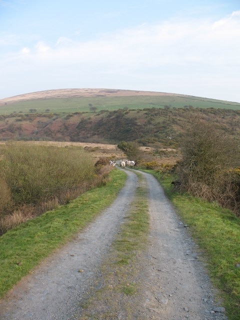 Photo "Puncheston" by Gordon Hatton (CC BY-SA) / Cropped from original