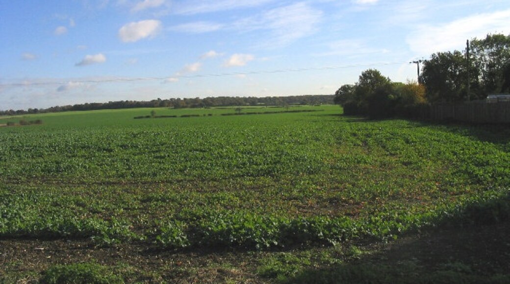 "Blackmore"-foto av John Winfield (CC BY-SA) / Urklipp från original