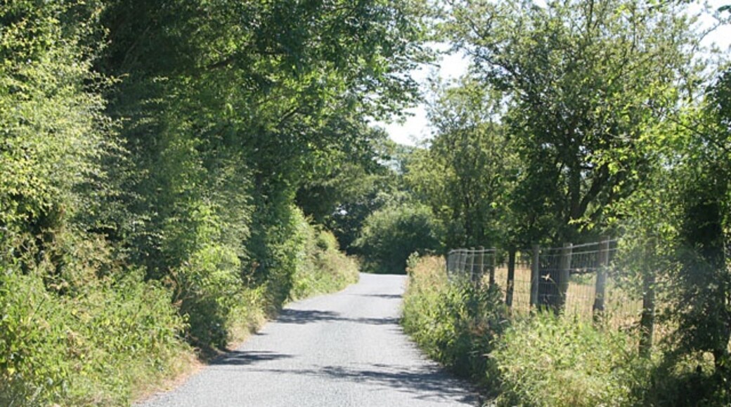 Foto “Calton” tomada por Kate Jewell (CC BY-SA); recorte de la original