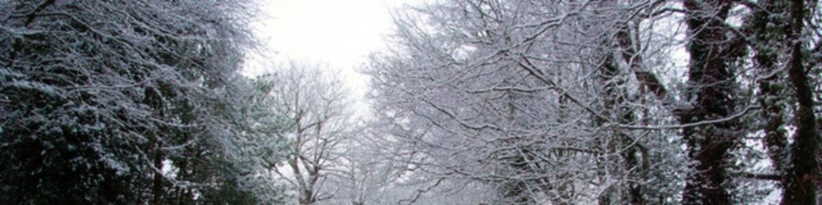 Photo "Blackwater Lane in the Snow Formerly the approach to Blackwater Farm, now a residential street in Crawley." by Robin Webster (Creative Commons Attribution-Share Alike 2.0) / Cropped from original