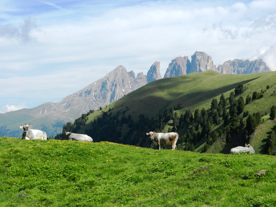 bivacco con vista