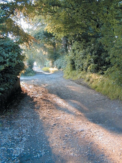 View looking down Oakmere Avenue, Withnell