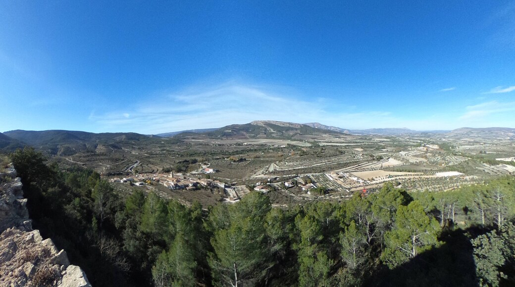Photo "Benifallim" by Galopax (CC BY-SA) / Cropped from original