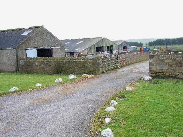 Photo "Cornsay" by Oliver Dixon (CC BY-SA) / Cropped from original