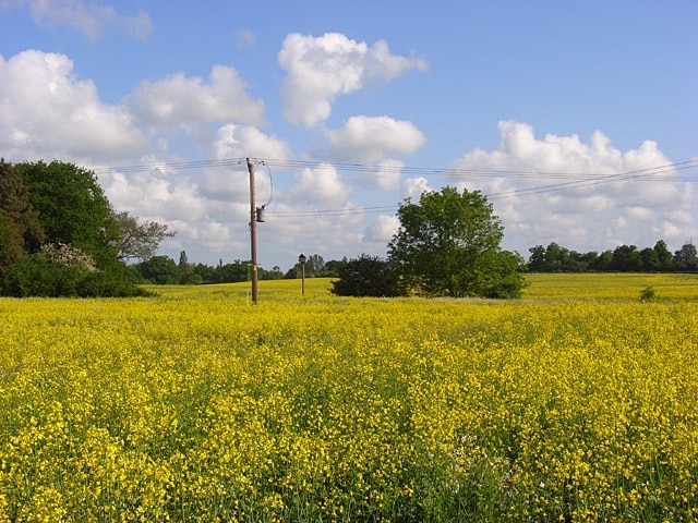 Foto “St. Nicholas” tomada por Andrew Smith (CC BY-SA); recorte de la original