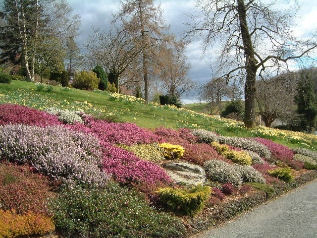 Holehird Gardens, near Windermere, are open to the public