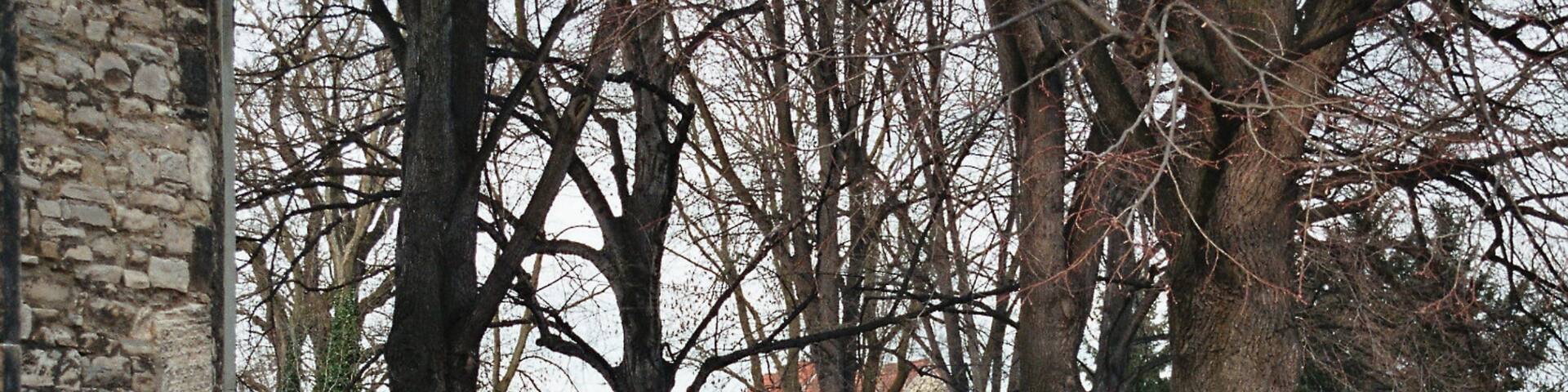 Quenstedt, Arnstein, Saxony-Anhalt, Alemanha