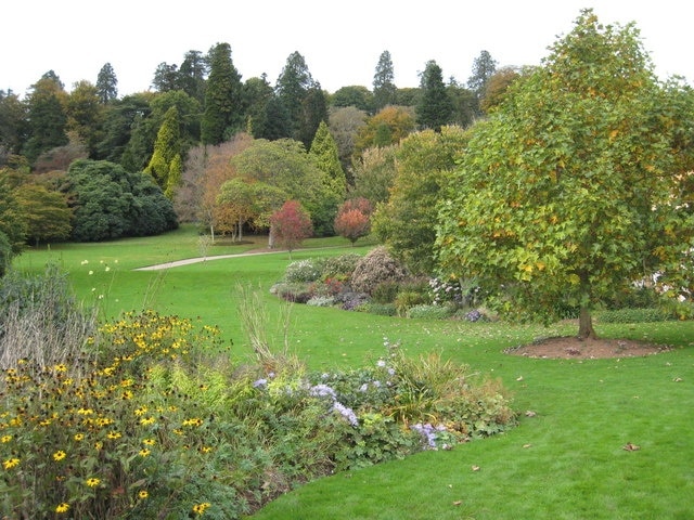 Autumn colour in the gardens at Killerton House