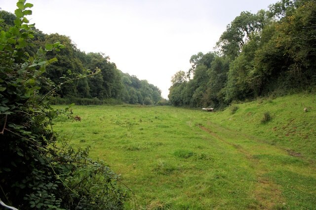 Valley Floor Looking south along a valley north of Torbryan; Clennonpark Wood is on the right.