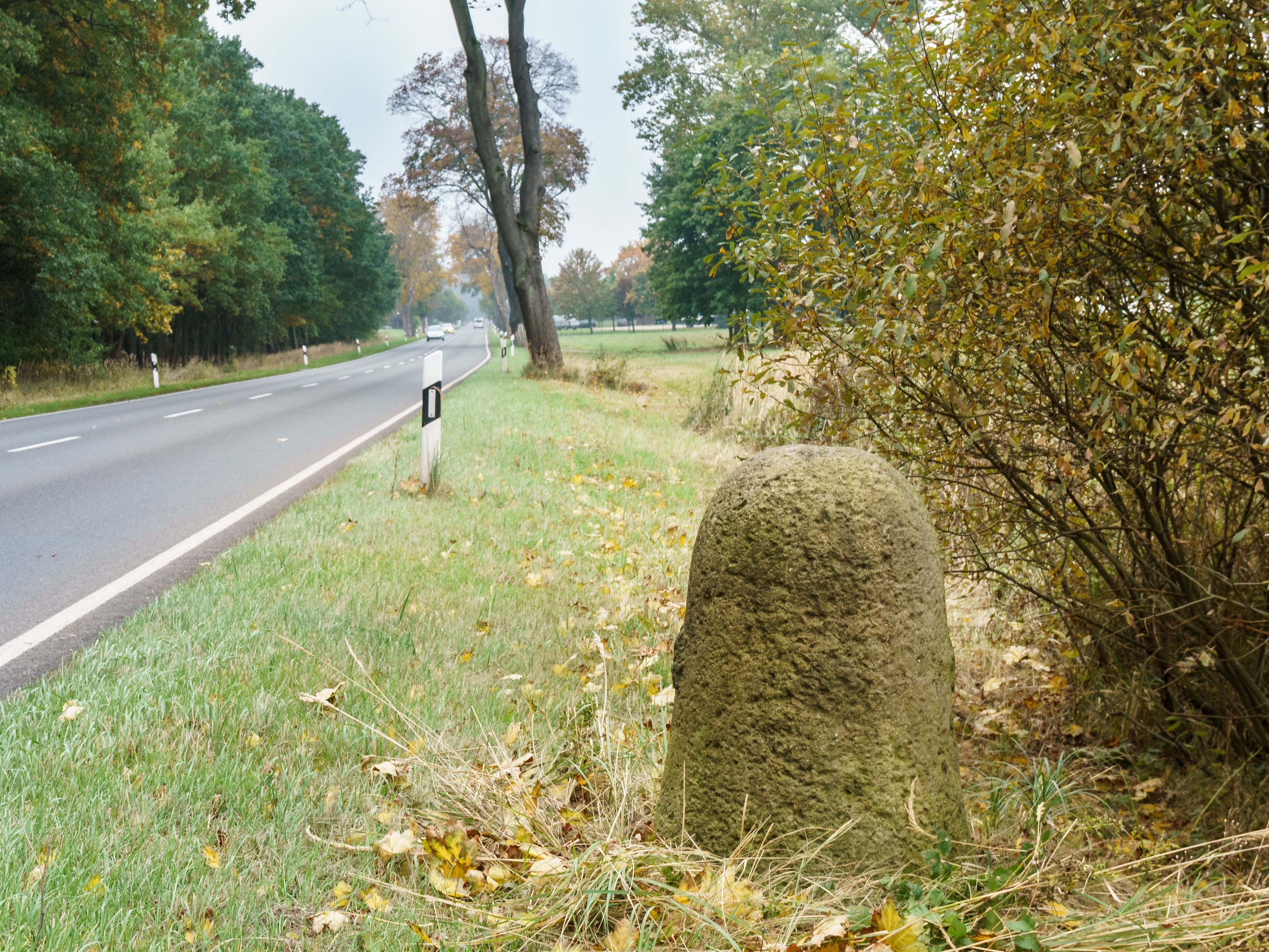 Photo "Genthin" by Radler59 (CC BY-SA) / Cropped from original