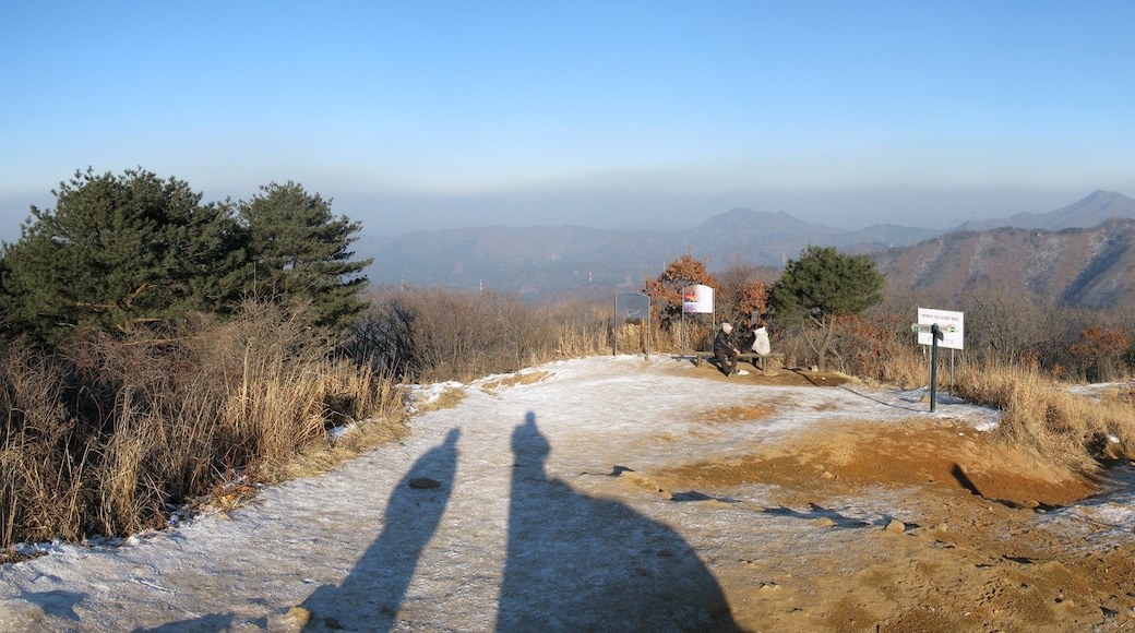 Photo "Okcheon" by G43 (CC BY) / Cropped from original