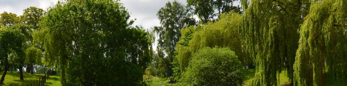 Photo "Eiter in Thedinghausen" by C.Löser (Creative Commons Attribution 3.0 de) / Cropped from original