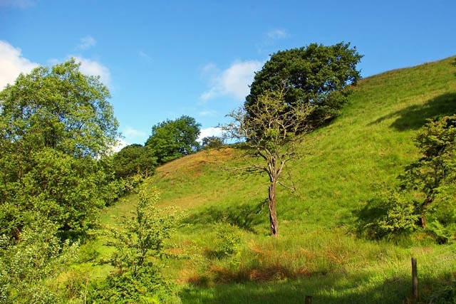 The south facing slope of Ramsden clough Above Ragby Bridge