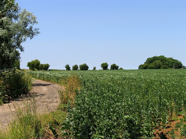 Billede "Ampney St. Mary" af Pam Brophy (CC BY-SA) / beskåret fra det originale billede
