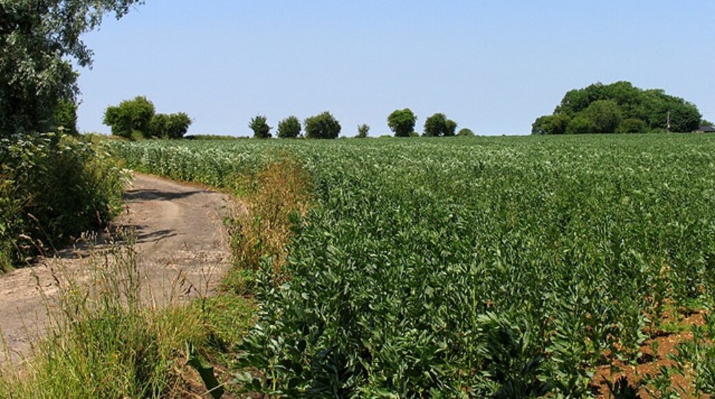 Billede "Ampney St. Mary" af Pam Brophy (CC BY-SA) / beskåret fra det originale billede