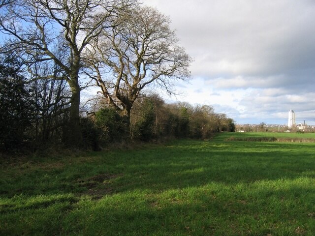 Wat's Dyke This dense hedge line is on the line of the ancient earthwork, Wat's Dyke. On the right of the picture is the cement factory chimney at Padeswood Hall.