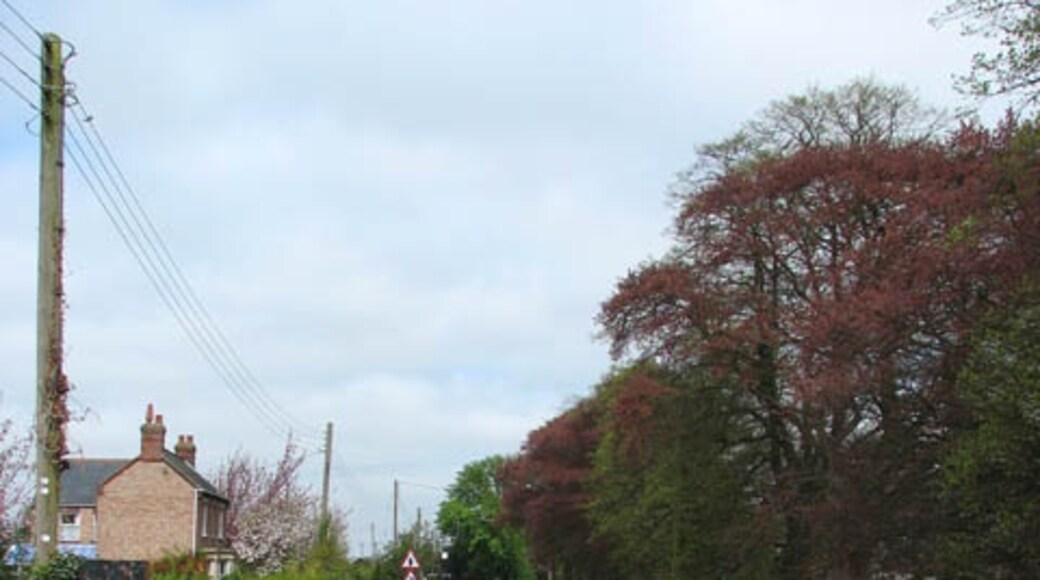 Ảnh "Làng Emneth" của Evelyn Simak (CC BY-SA) / Cắt từ ảnh gốc