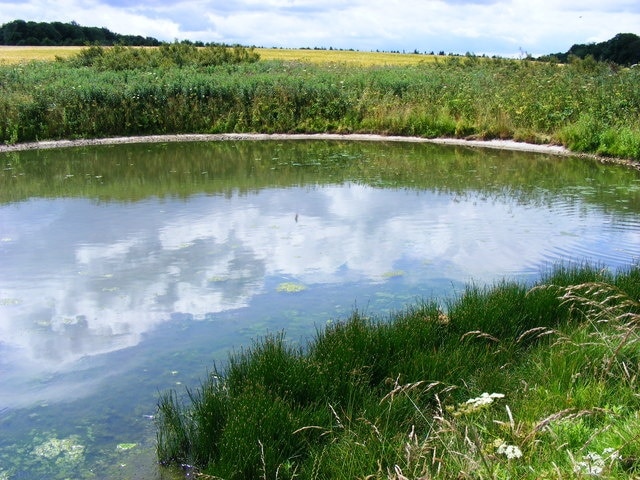 Pond, Sledmere House Estate, Sledmere, East Riding of Yorkshire, England.