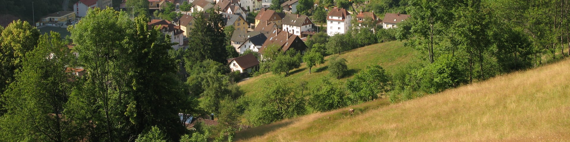Schramberg, Baden-Württemberg, Alemania