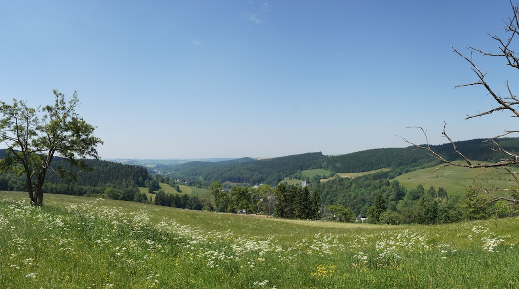 Bildet «Rechenberg-Bienenmühle» tatt av Kolossos (CC BY-SA) / originalbilde beskjært
