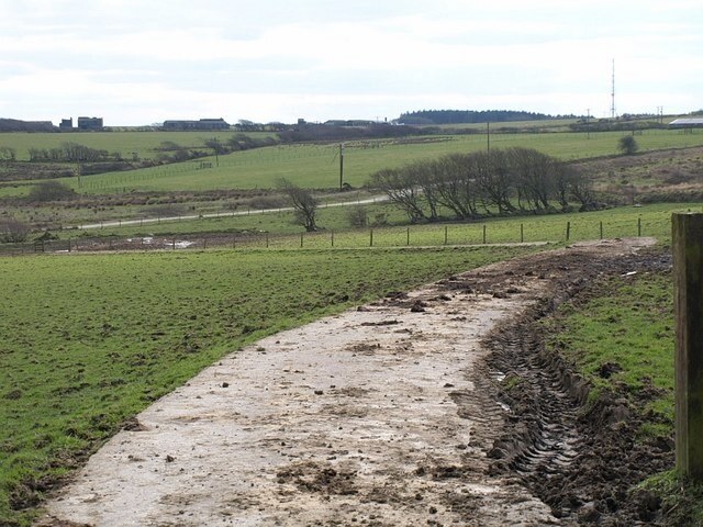 Road to the sewage works,Trewassa. This concrete road leads from the rear of the hamlet down to 735986, but I think it has been superseded by the new road in the background which links more directly to a road.