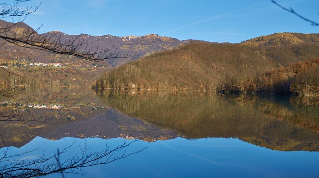 Foto "Lago del Brugneto" de Terensky (CC BY) / Recortada do original