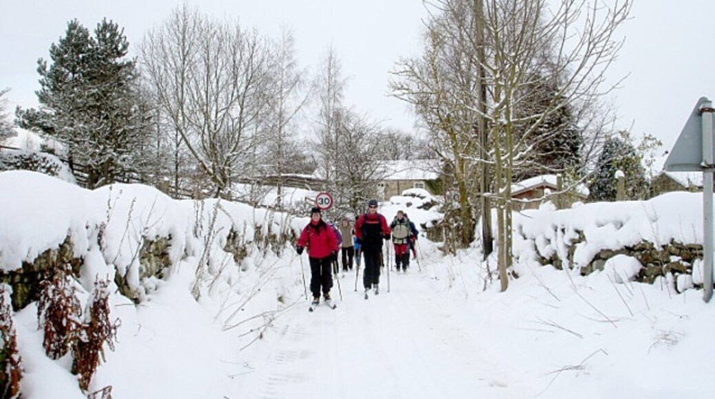 Photo "Dalton" by Andy Waddington (CC BY-SA) / Cropped from original