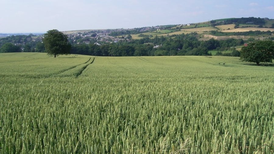 Photo "View to Kirkheaton" by Stanley Walker (Creative Commons Attribution-Share Alike 2.0) / Cropped from original